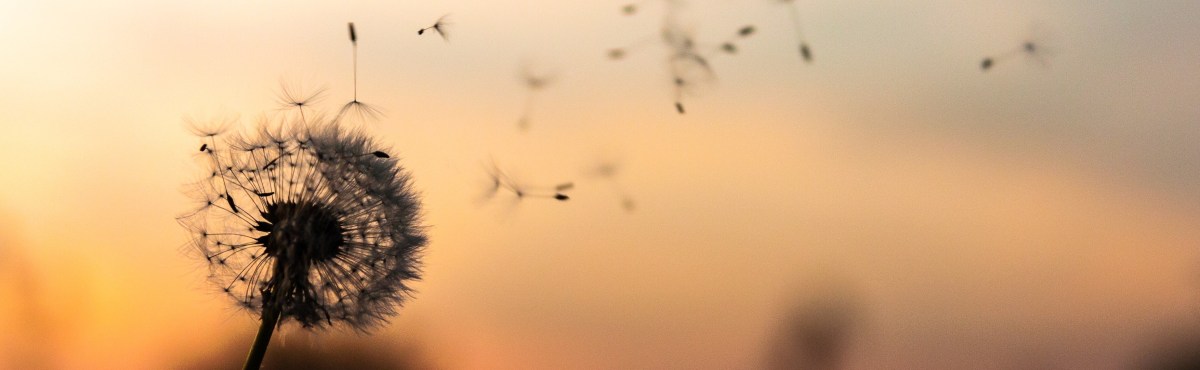 Mindfulness Programs I Love: “Mindfulness-Based Stress Reduction”