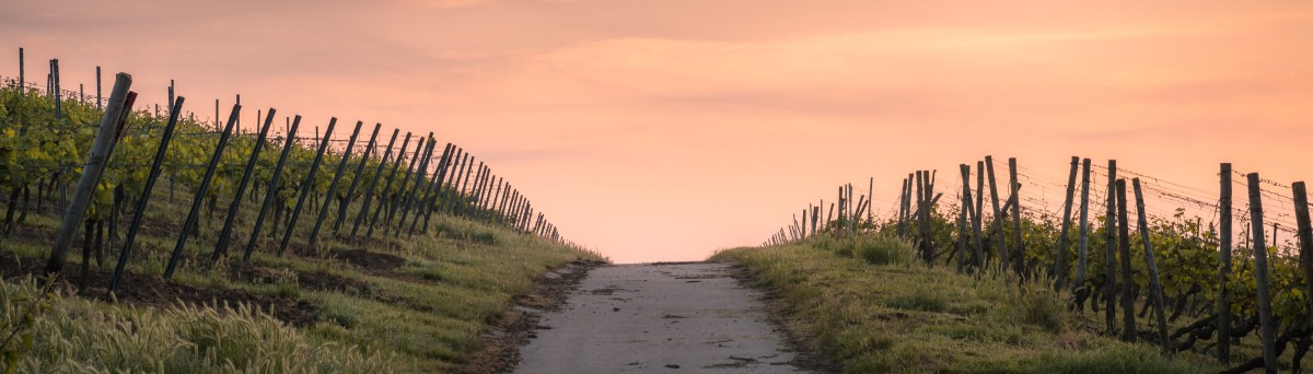 Finding A Path Through&nbsp;It