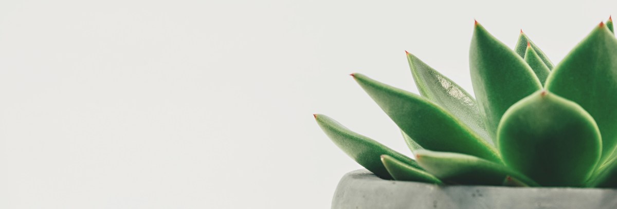 Mindfulness Apps I Love: “ZenView”