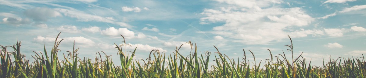 Making Space Through Breath: A&nbsp;Visualization