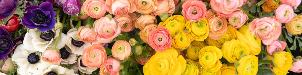 Just Because It’s Summer: Flowers&nbsp;[PHOTOS]