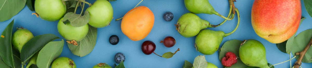 Effects of Diet and Exercise on Chemotherapy Tolerance and Efficacy:&nbsp;Research