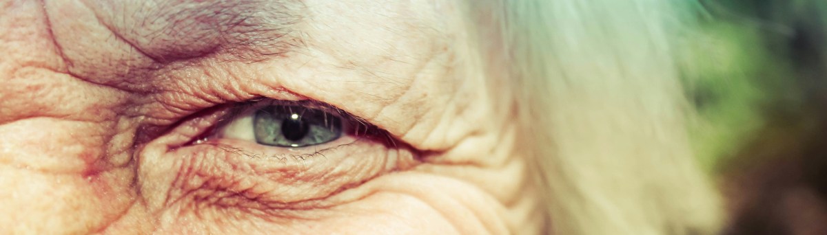 A Vote for Respecting Each&nbsp;Other