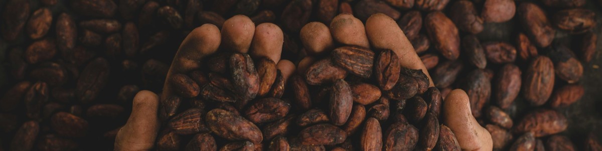 “Not Just Hot Chocolate”: Making a Cup of Cacao&nbsp;[VIDEO]