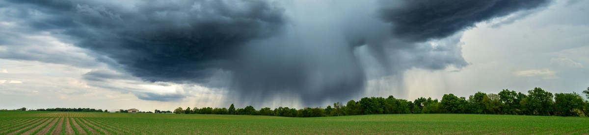 How’s the Weather in&nbsp;There?